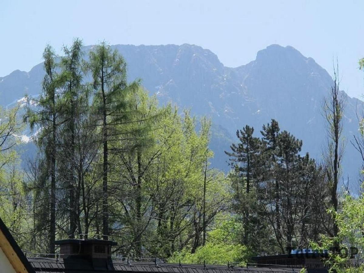 Tatrytop Apartamenty Kaszelewski Zakopane Esterno foto
